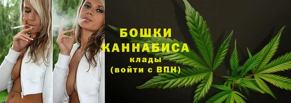 ПСИЛОЦИБИНОВЫЕ ГРИБЫ Вязьма